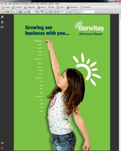 The Banvit A.Ş. 2012 Annual Report