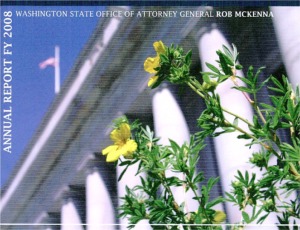 LACP 2008 Vision Awards Annual Report Competition