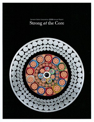 LACP 2008 Vision Awards Annual Report Competition