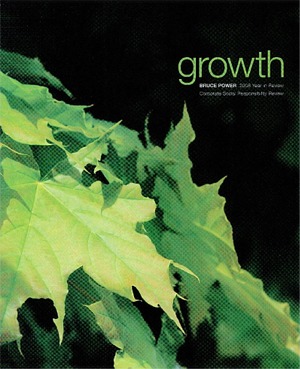 LACP 2008 Vision Awards Annual Report Competition