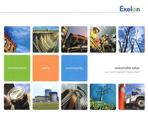 LACP 2008 Vision Awards Annual Report Competition