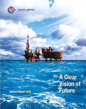 LACP 2008 Vision Awards Annual Report Competition