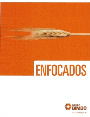 LACP 2008 Vision Awards Annual Report Competition