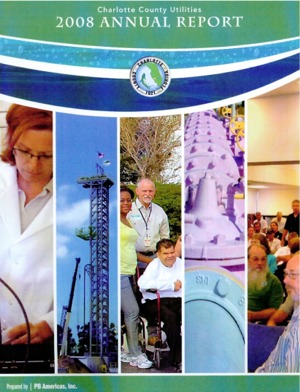 LACP 2008 Vision Awards Annual Report Competition