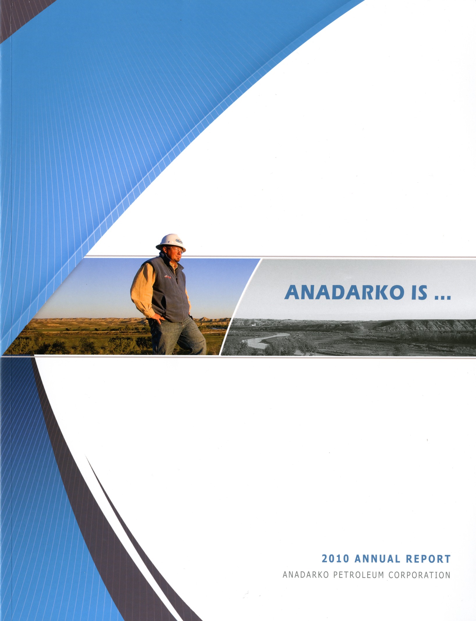 LACP 2010 Vision Awards Annual Report Competition Anadarko Petroleum