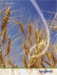 Syngenta Int. AG