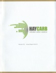 HAYCARB PLC