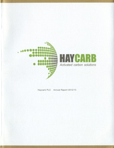 HAYCARB PLC