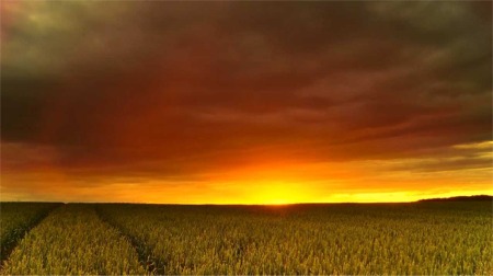 The AGCO Corporate Brand Video