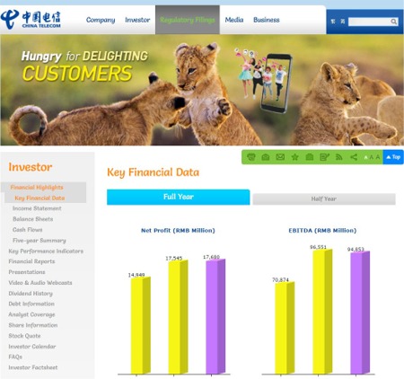 The China Telecom IR Website