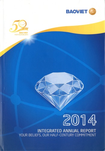 BAOVIET HOLDINGS