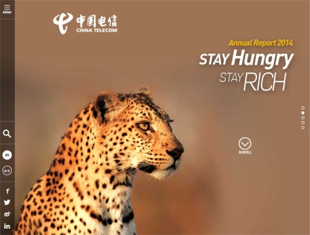 The China Telecom Online Annual Report