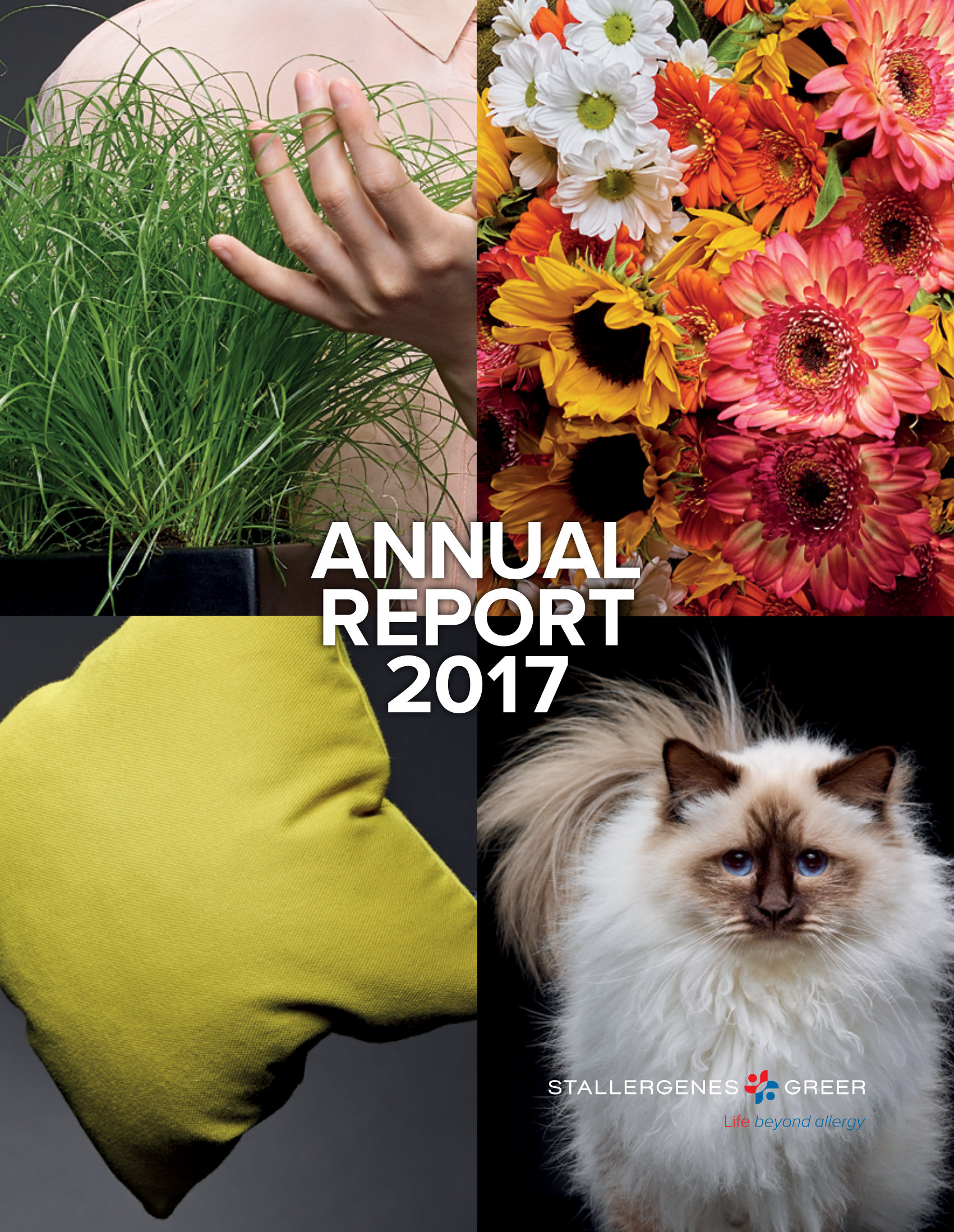 annual report awards, annual report competition, annual reports