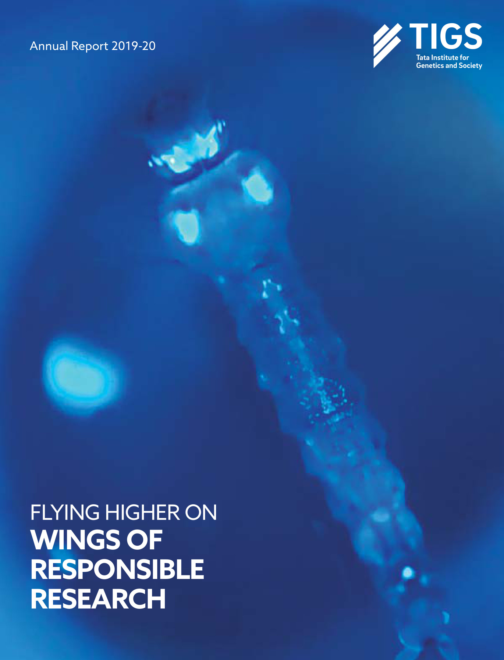 annual report awards, annual report competition, annual reports