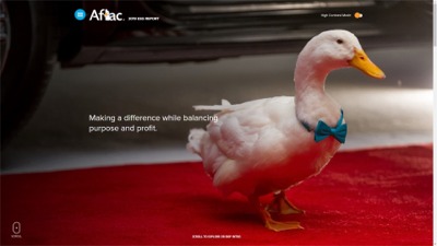 2019 AFLAC ESG HUB