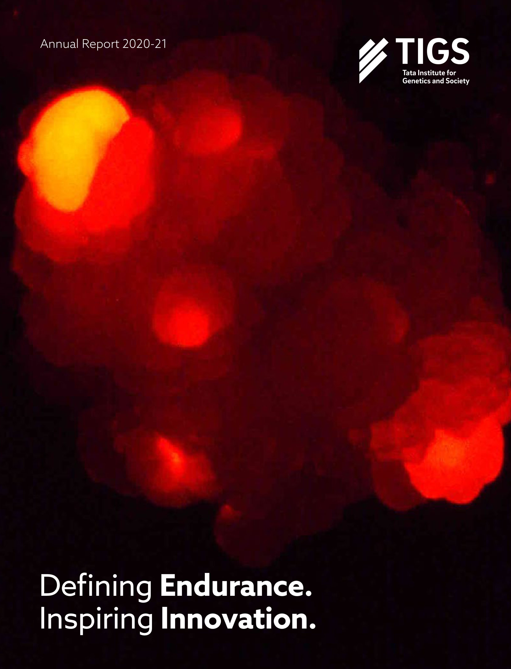 annual report awards, annual report competition, annual reports