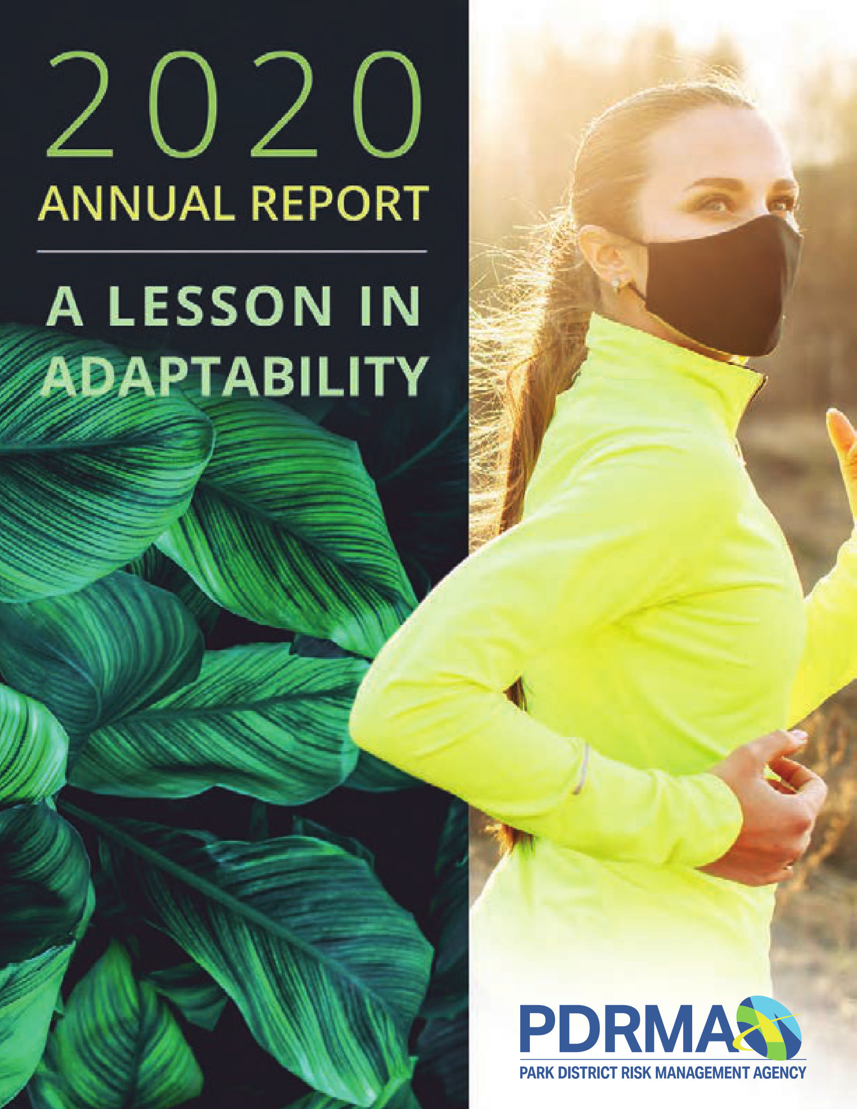 annual report awards, annual report competition, annual reports