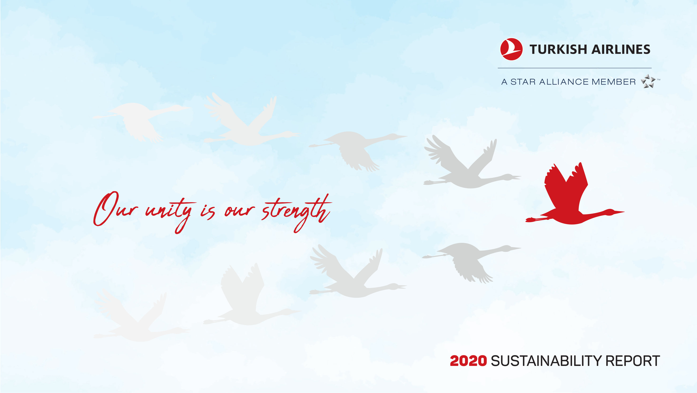 Turkish Airlines INC