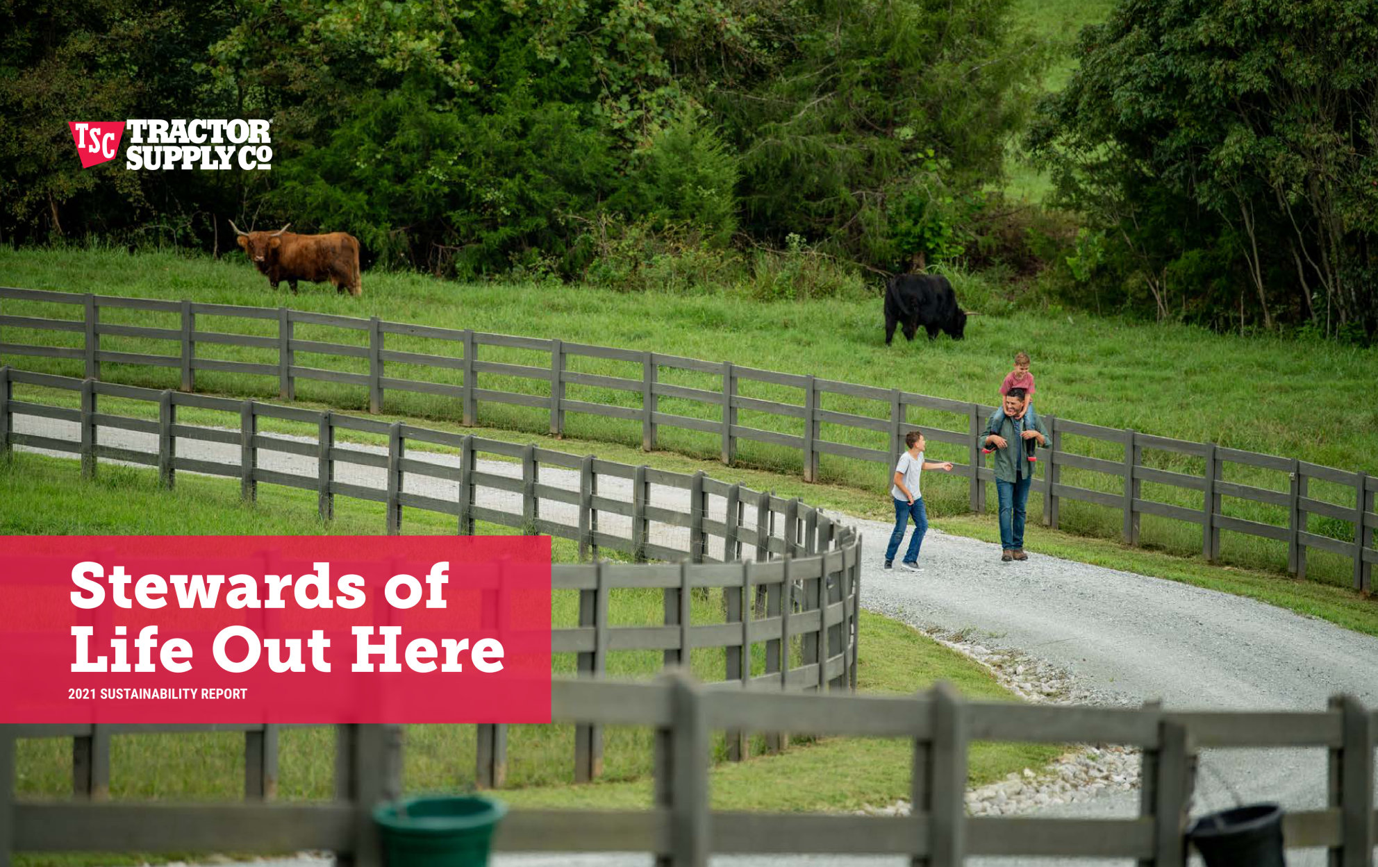 annual report awards, annual report competition, annual reports