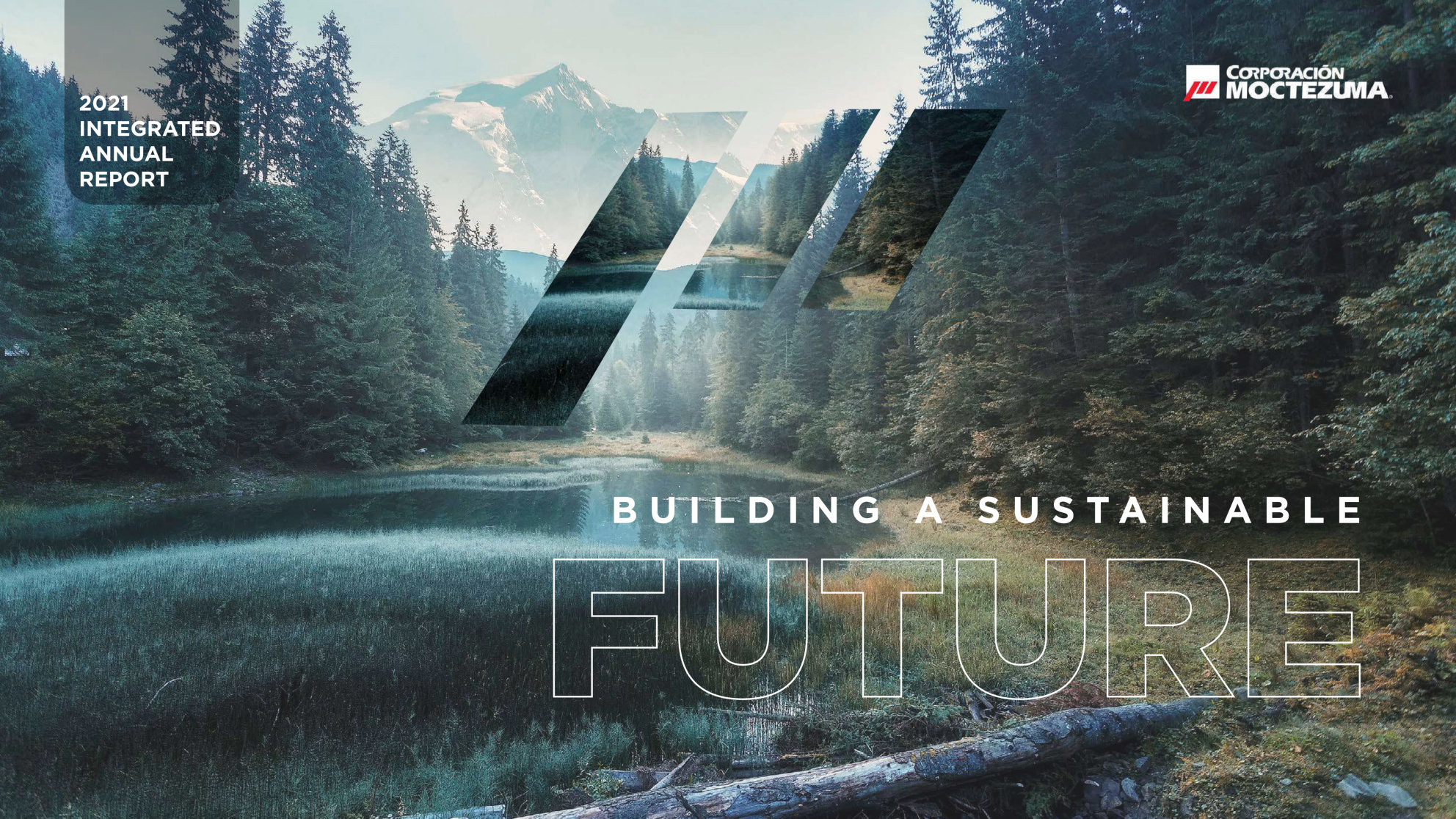 annual report awards, annual report competition, annual reports