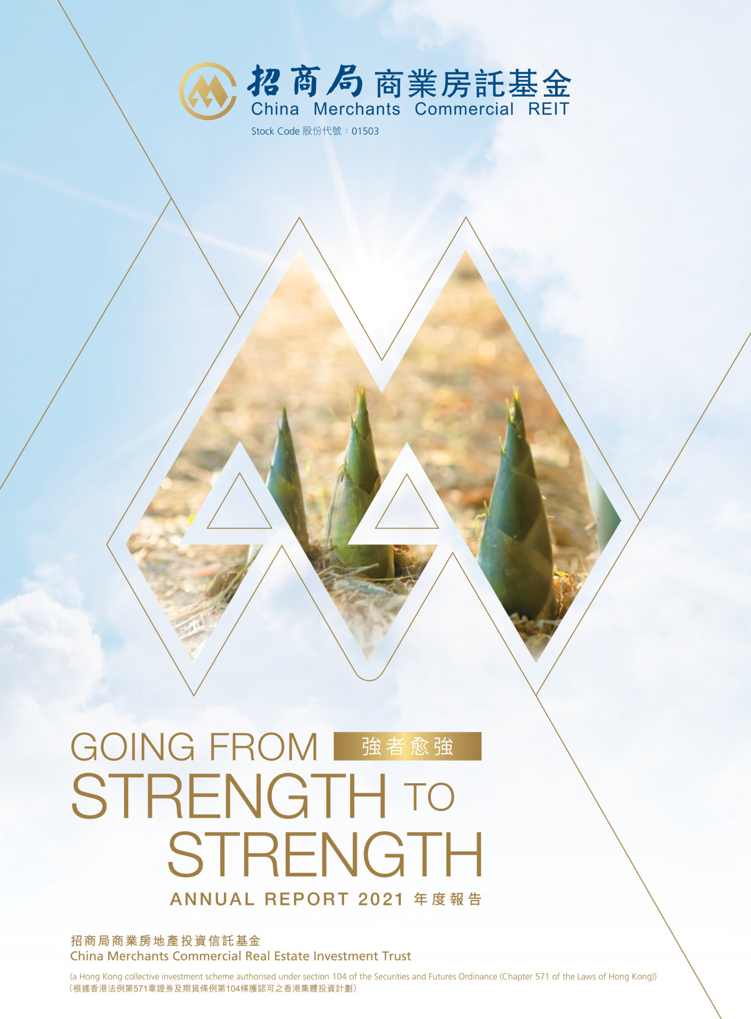 annual report awards, annual report competition, annual reports