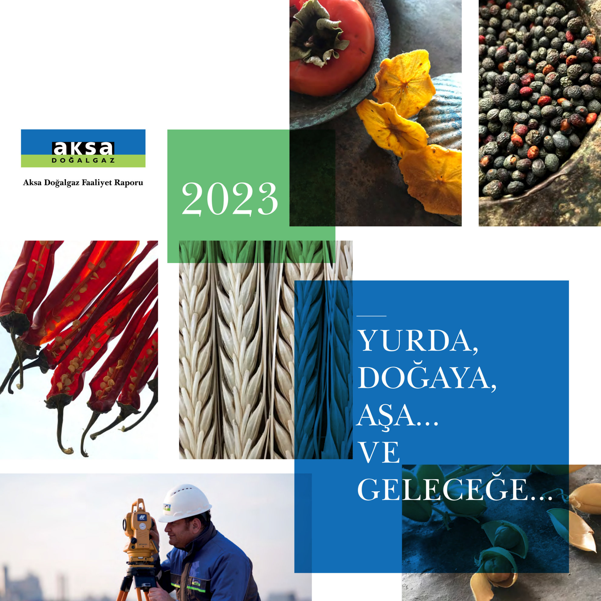 annual report awards, annual report competition, annual reports