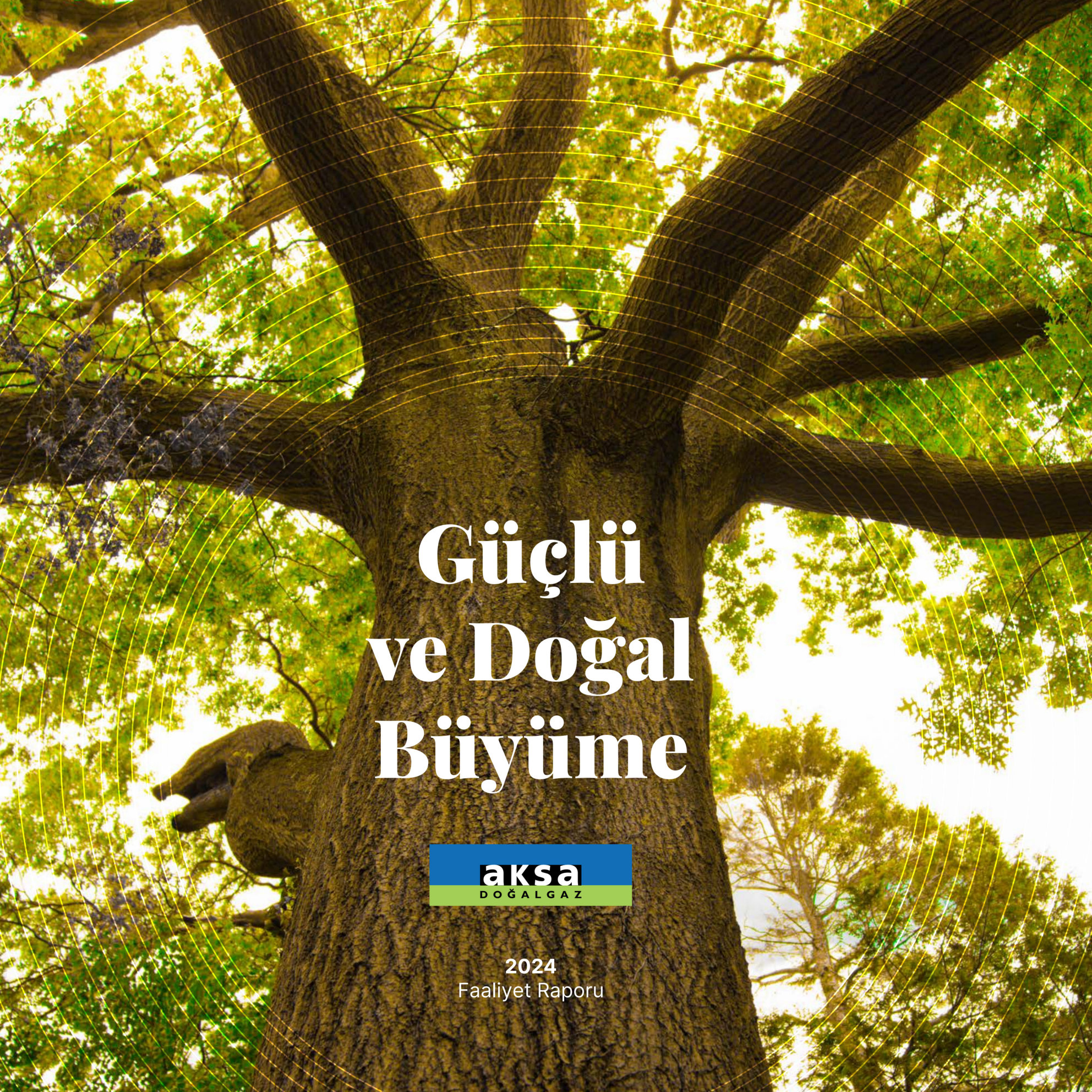 annual report awards, annual report competition, annual reports