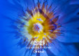 K�BAR HOLD�NG A.�.